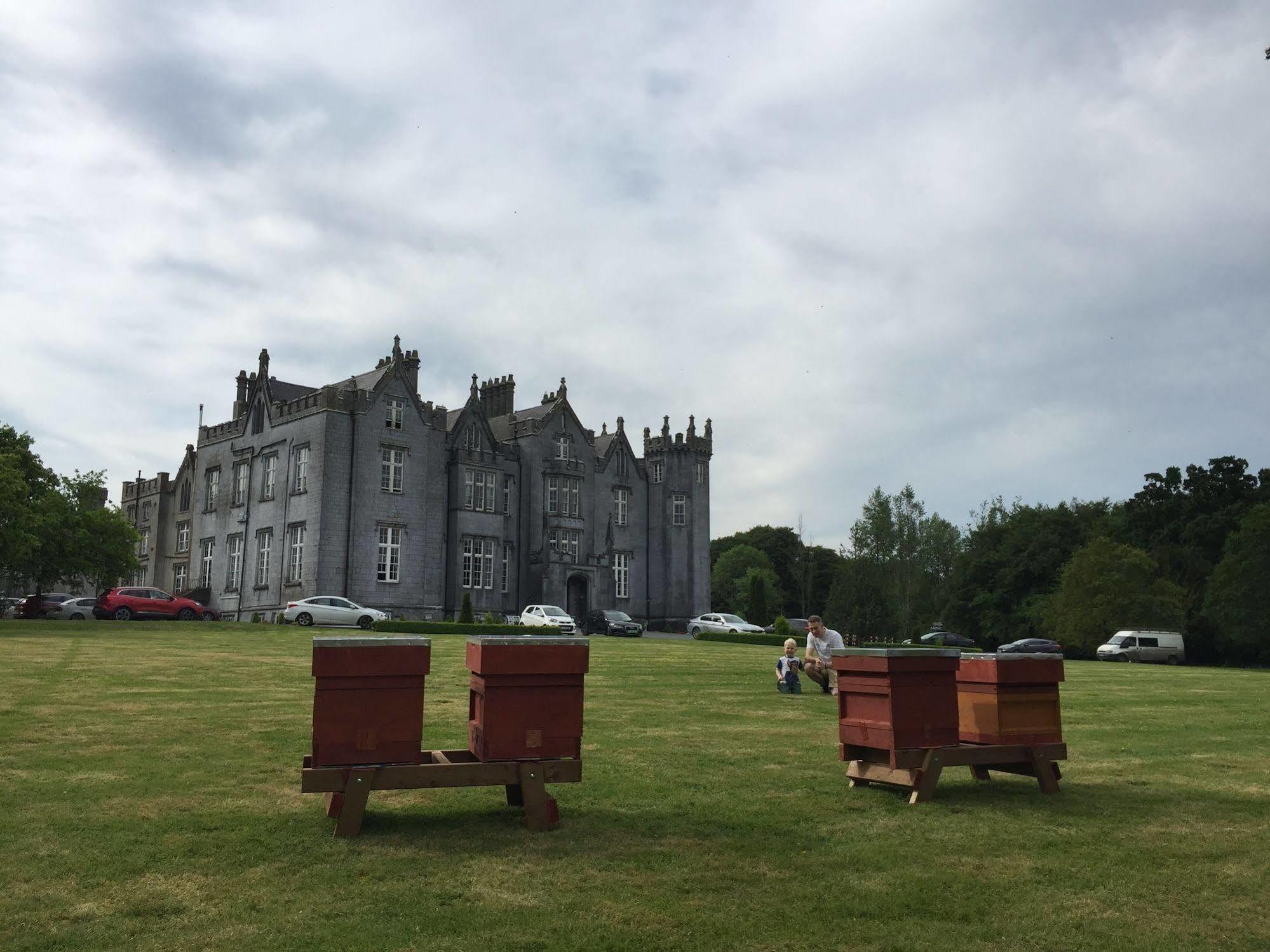 Kinnitty Castle Hotel Exterior foto